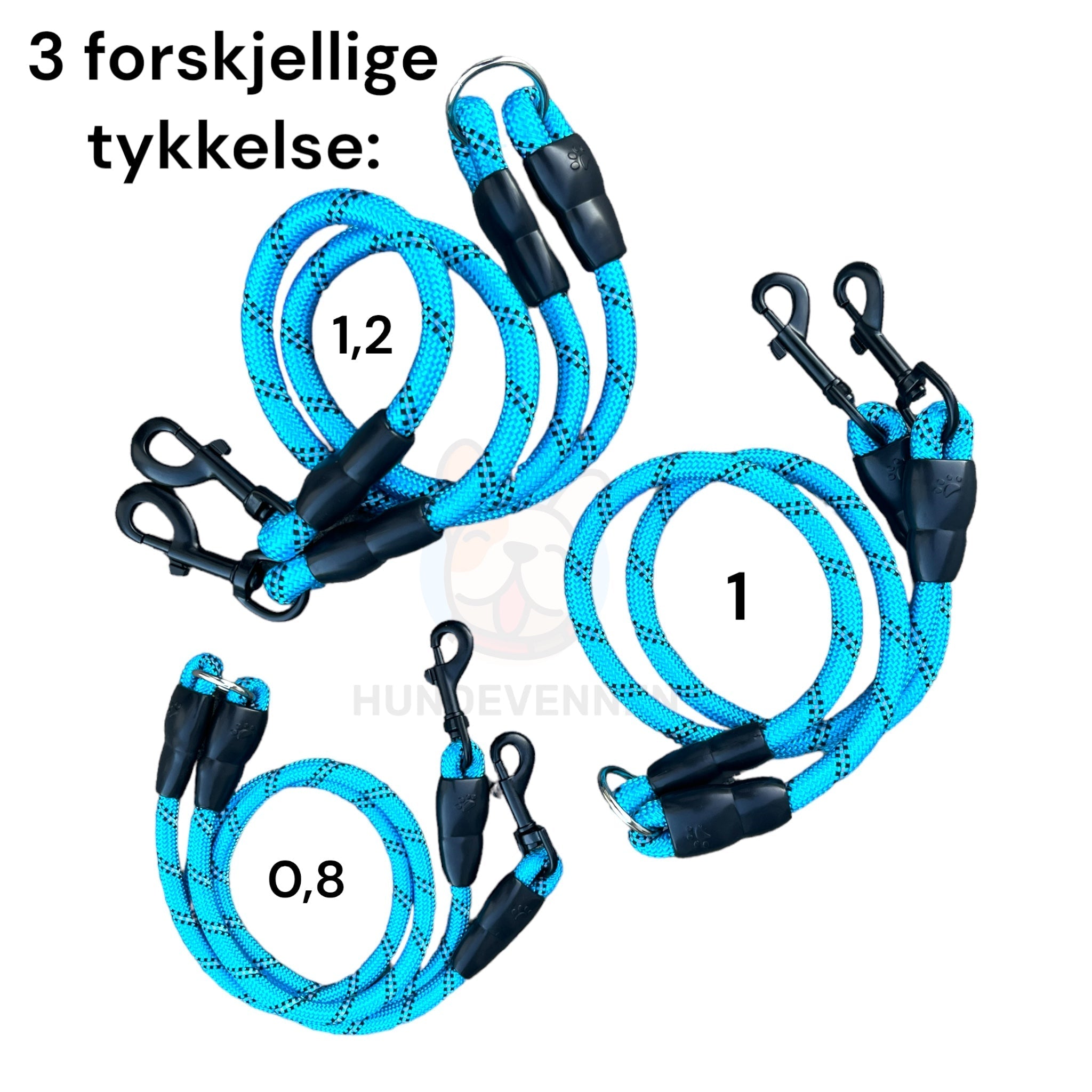 Y-bånd til to hunder