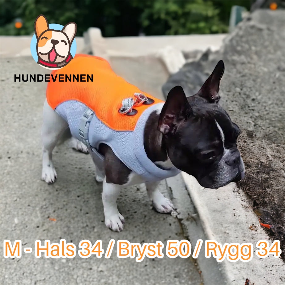 Kjølevest for hund til varme dager