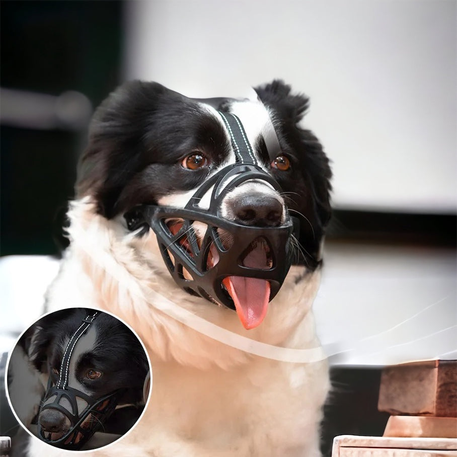 Munnkurv i plast til hund – justerbar og luftig