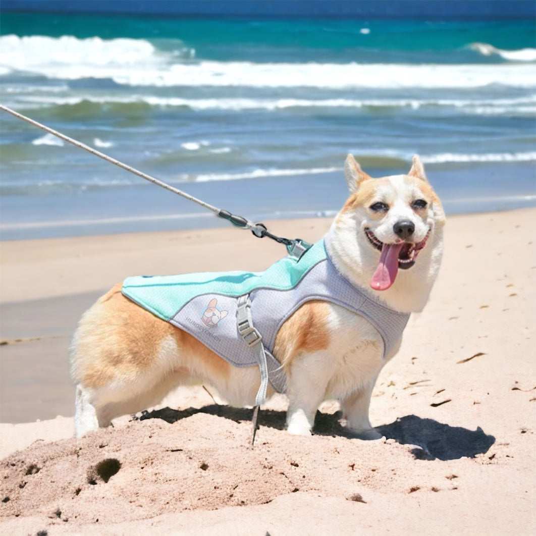 Kjølevest til hund – lett avkjølende sommervest