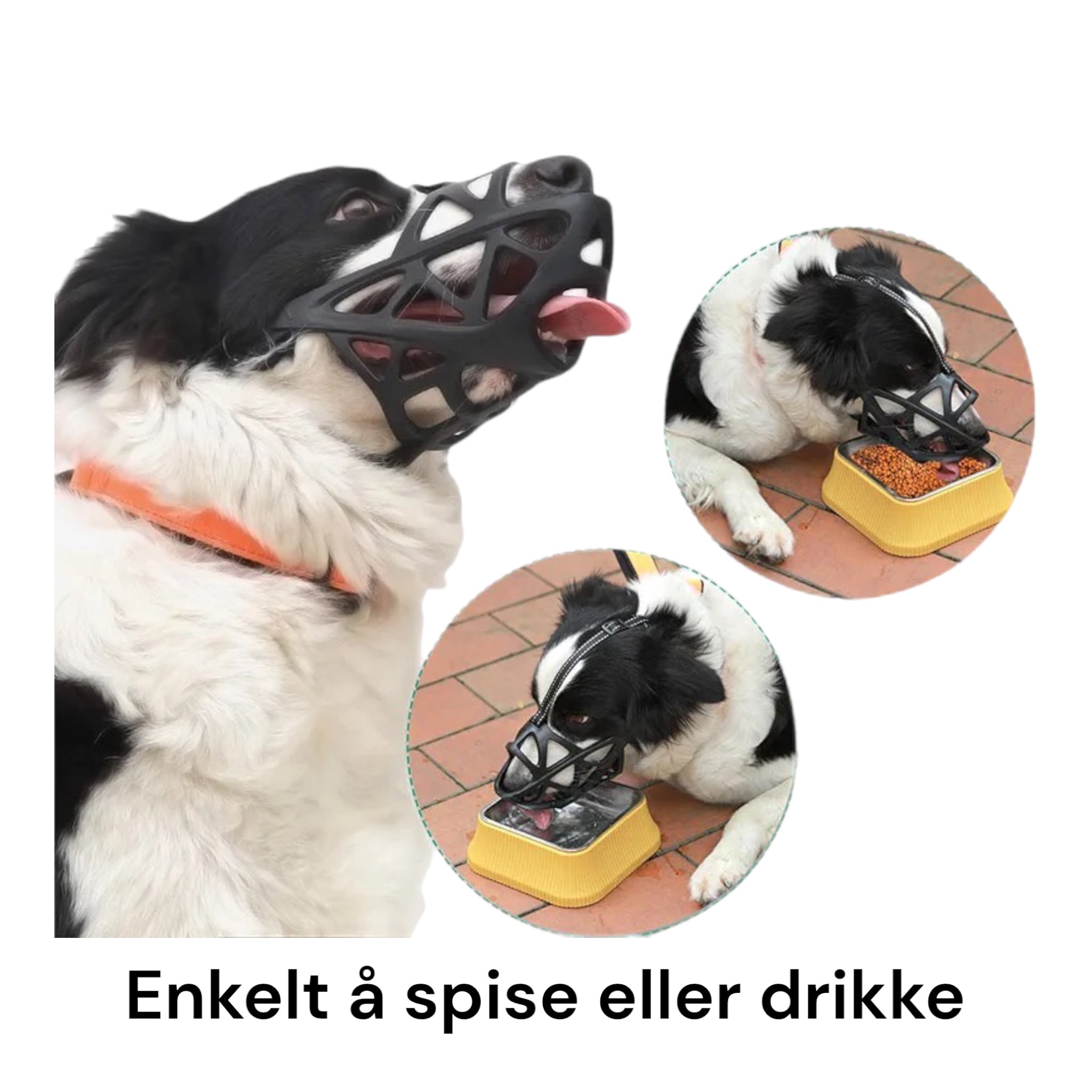 Munnkurv i plast til hund – justerbar og luftig