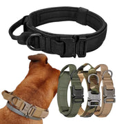 Hundehalsbånd med håndtak – solid justerbart halsbånd