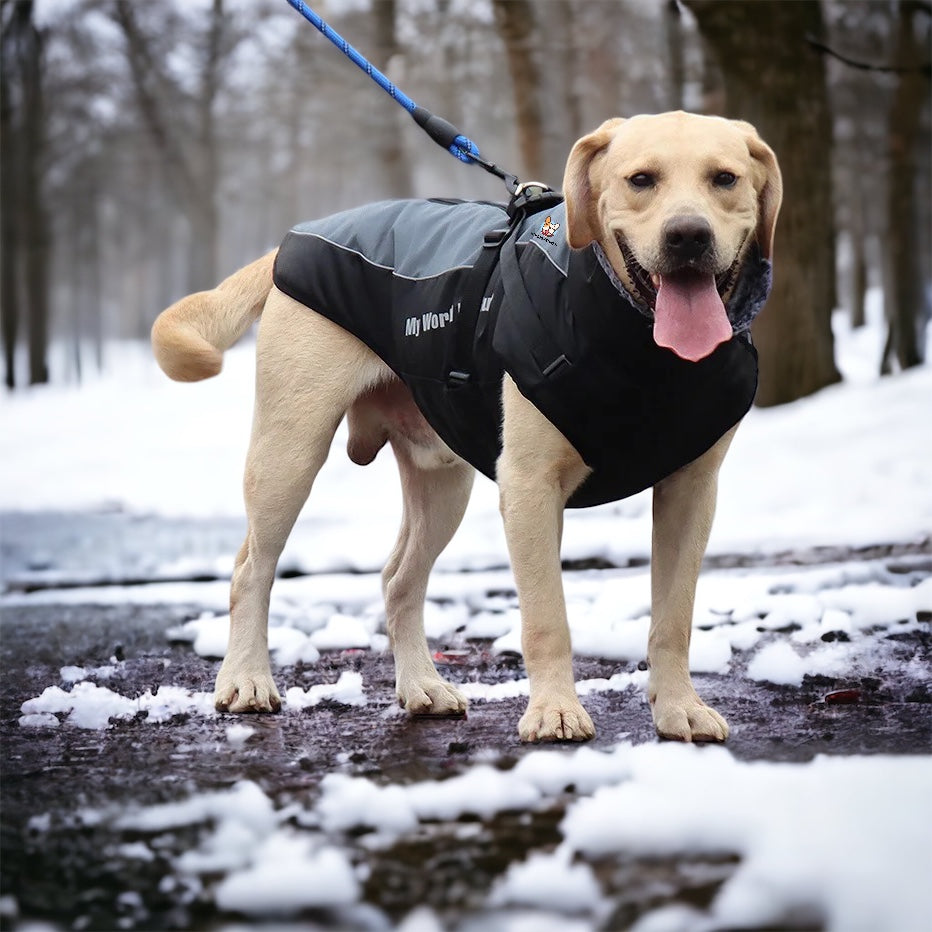 Vinterdekken til hund med refleks og integrert sele