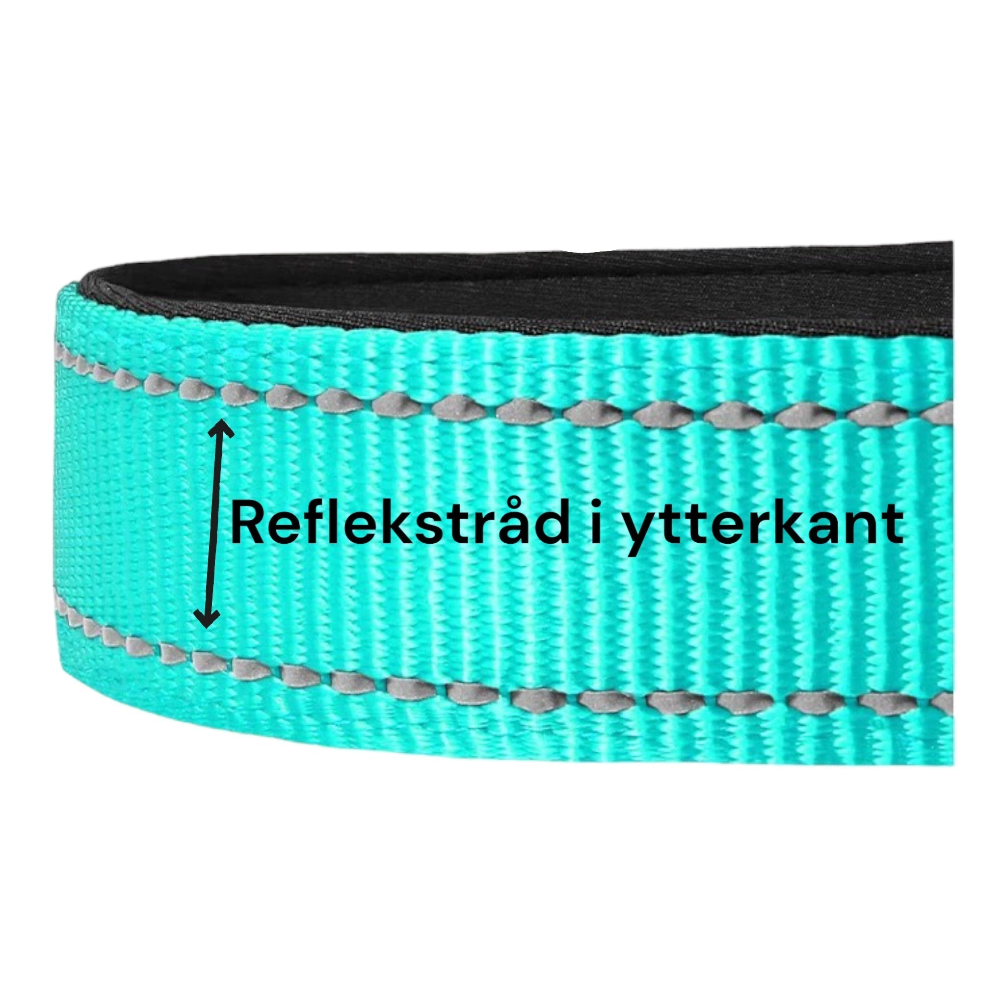 Hundehalsbånd med refleks – polstret nylon