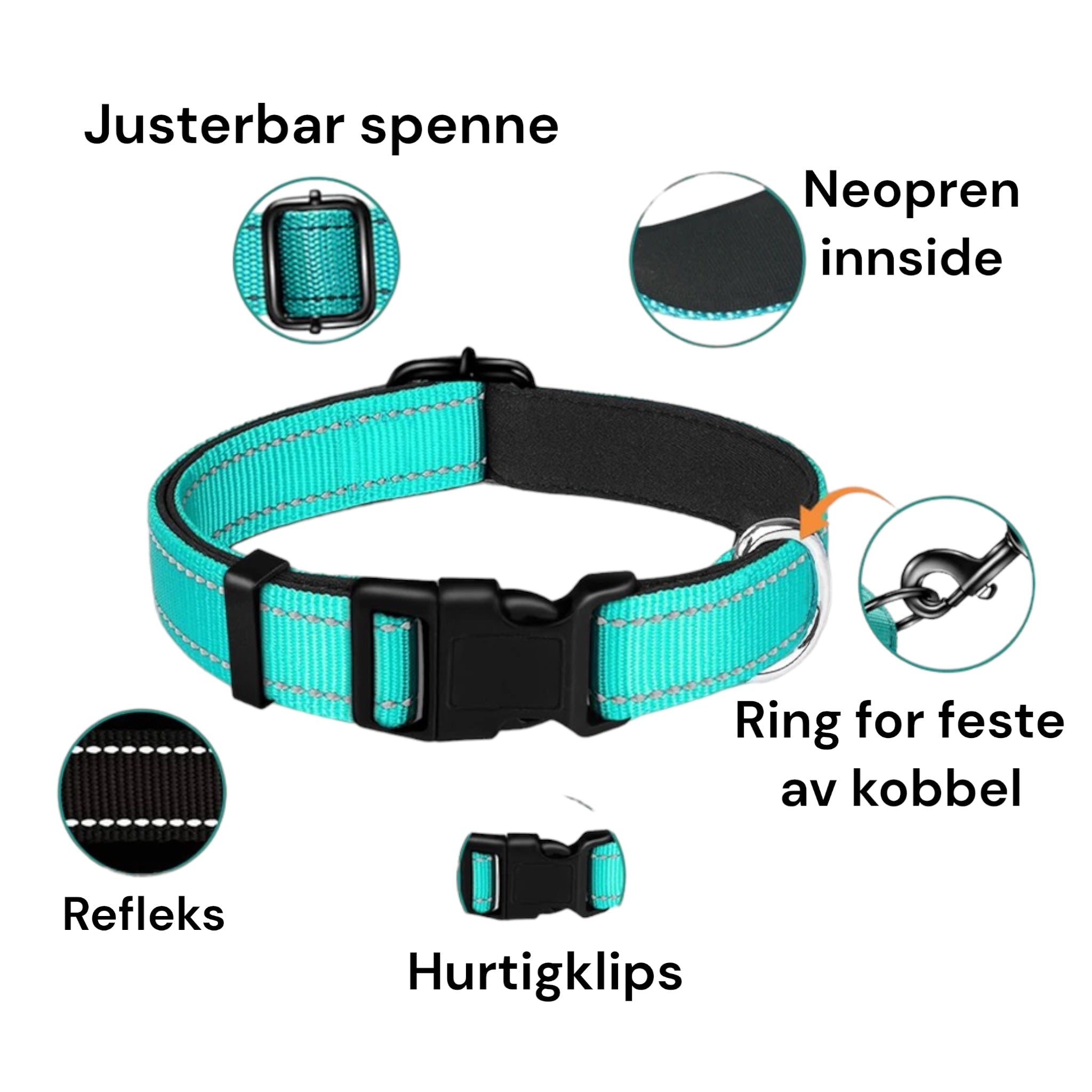 Hundehalsbånd med refleks – polstret nylon