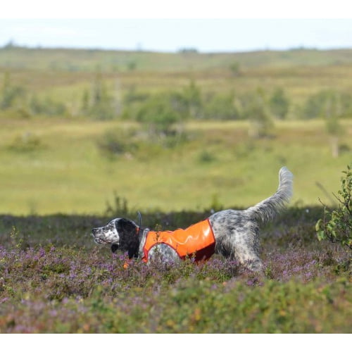 Jægerens Joker Jaktdekken
