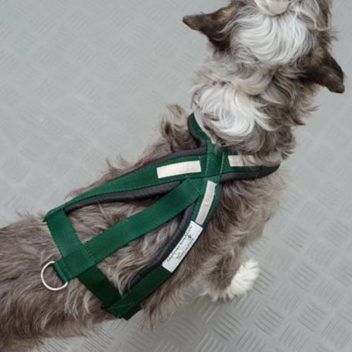 Jægerens kombisele til hund