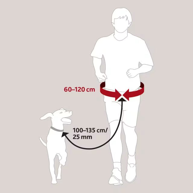 Joggeline med belte M/L – støtdempende line til hund opptil 40 kg