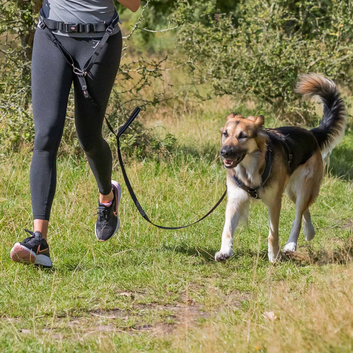 Trixie joggeline med bredt belte – grå/sort line med støtdemper