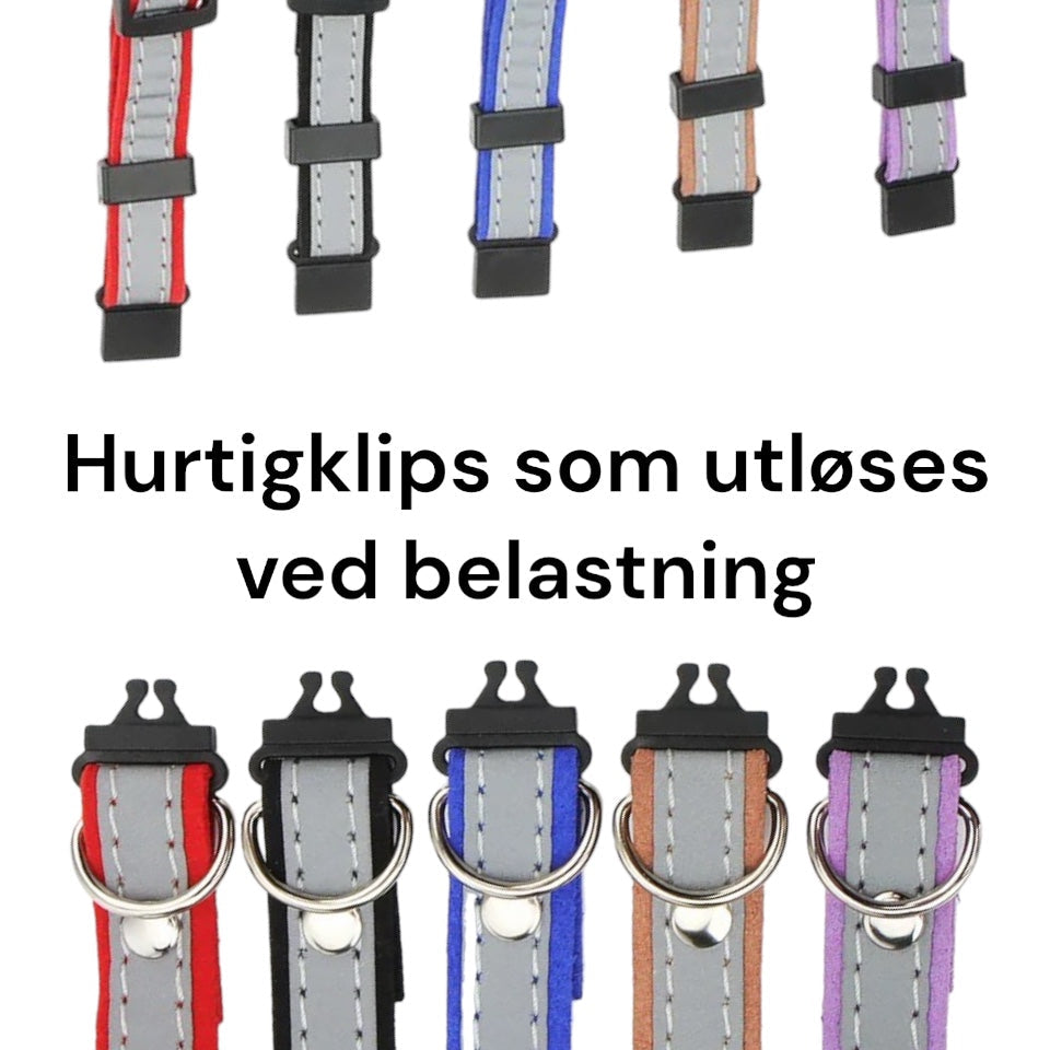Kattehalsbånd med navn – refleks og sikkerhetslås