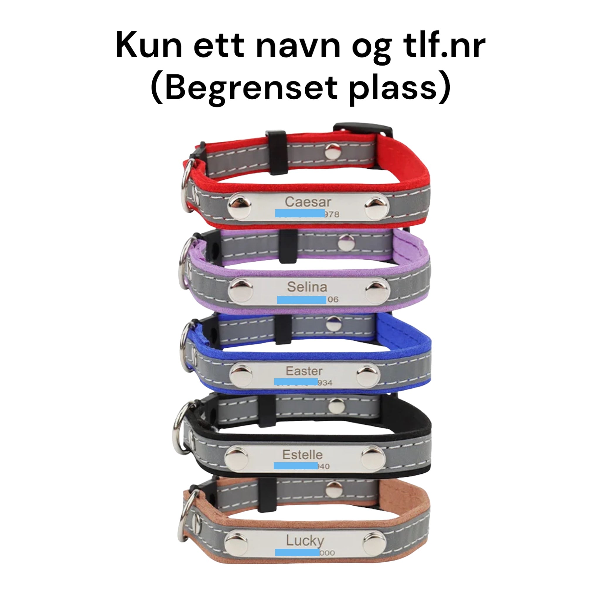Kattehalsbånd med navn – refleks og sikkerhetslås