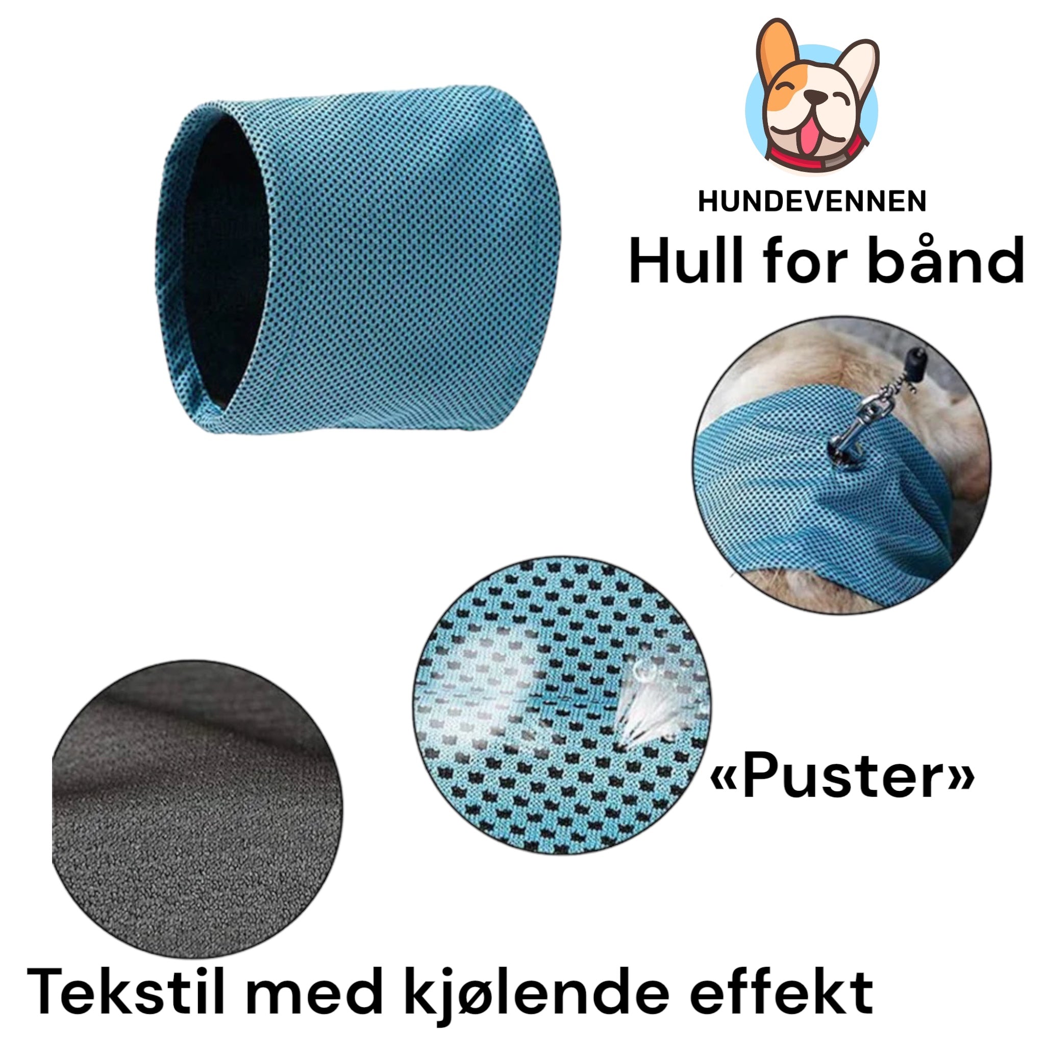 Kjølekrage til hund – enkel avkjøling på varme dager