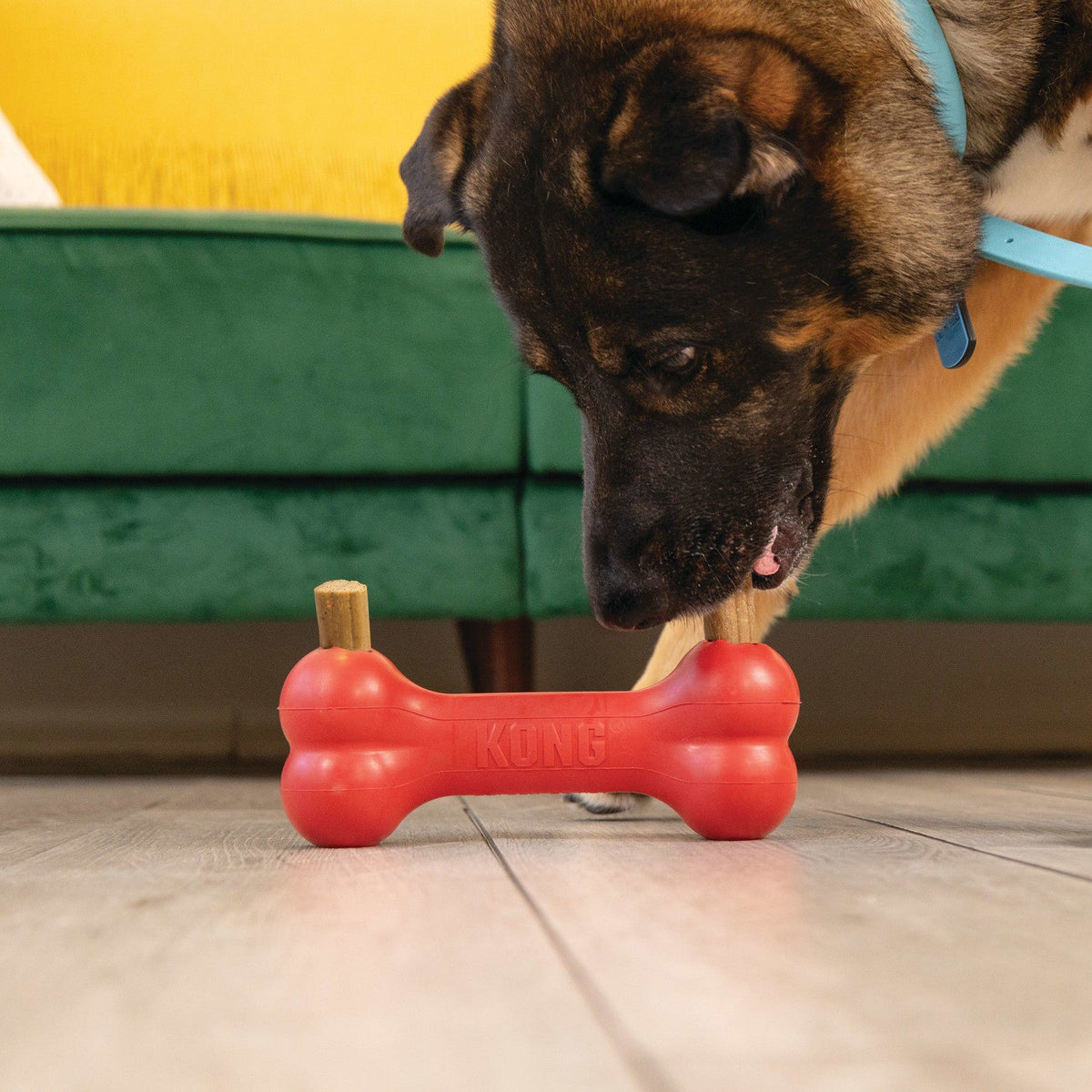 Kong Ziggies M/L tyggegodbit, 227 g