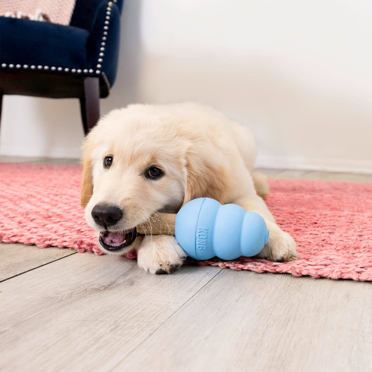 Kong Ziggies Puppy S tyggegodbit til valp, 198 g