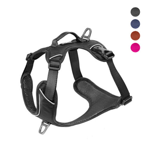 KYFLIE Momentum hundesele