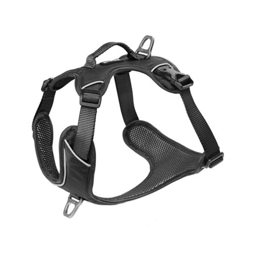 KYFLIE Momentum hundesele