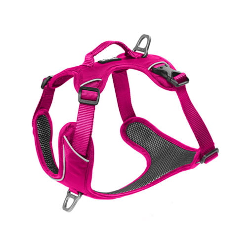 KYFLIE Momentum hundesele