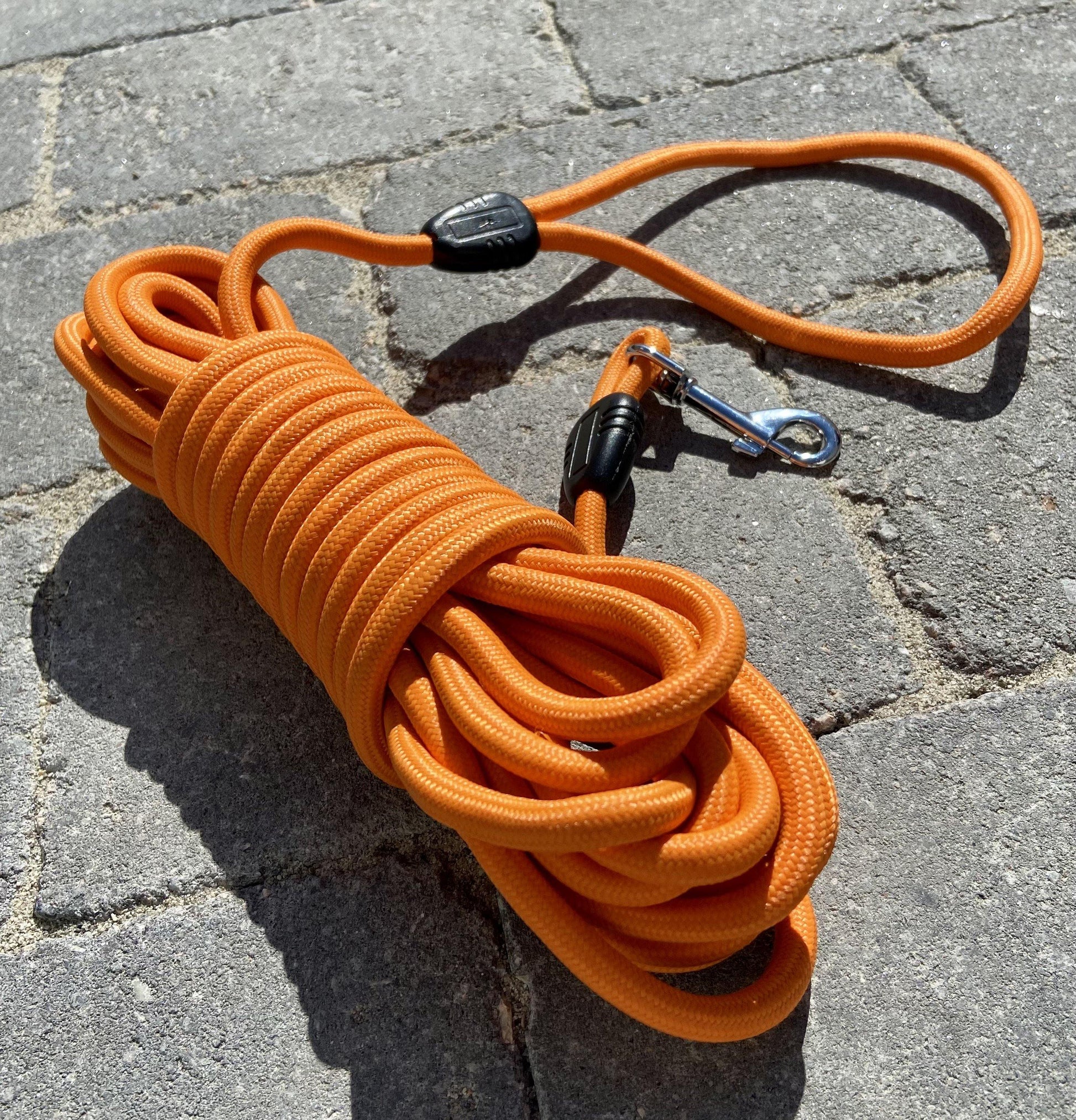 Oransje langline til hund liggende ute