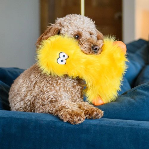 Lewis - myk og svært holdbar hundeleke fra West Paw