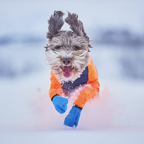 Long Distance Bootie potesokker fra Non-Stop – 4pk