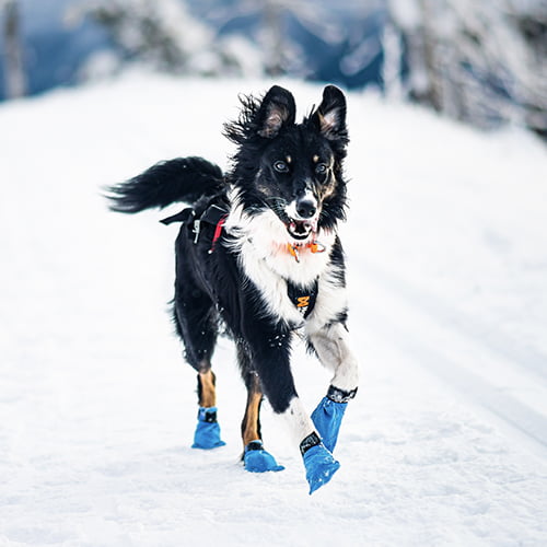 Long Distance Bootie potesokker fra Non-Stop – 4pk