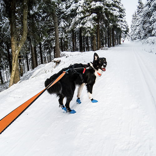 Long Distance Bootie potesokker fra Non-Stop – 4pk