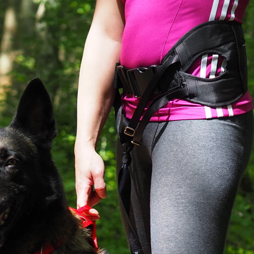 KYFLIE Ludus kjørebelte/trekkbelte