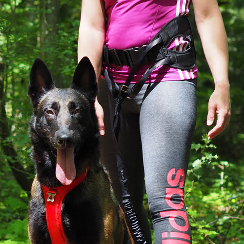 KYFLIE Ludus kjørebelte/trekkbelte