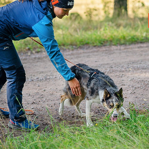 Non-stop Line Harness 5.0 – allsidig sele til hund
