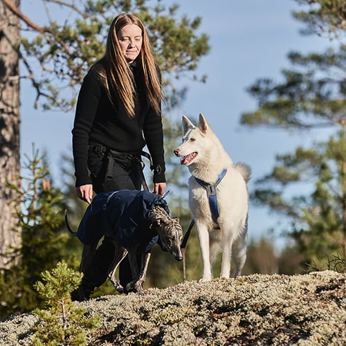 Non-stop Line Harness 5.0 – allsidig sele til hund