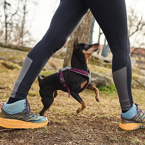 Non-stop Line Harness 5.0 – allsidig sele til hund