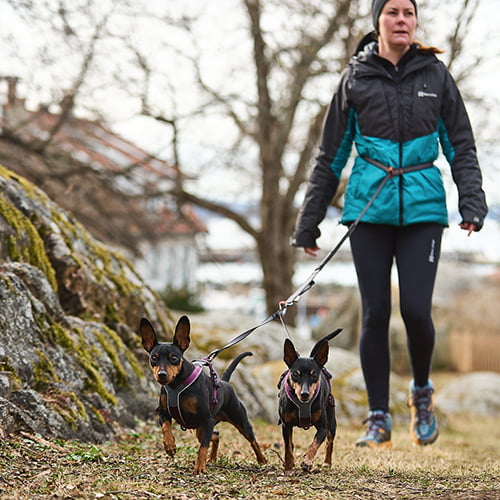 Non-stop Line Harness 5.0 – allsidig sele til hund