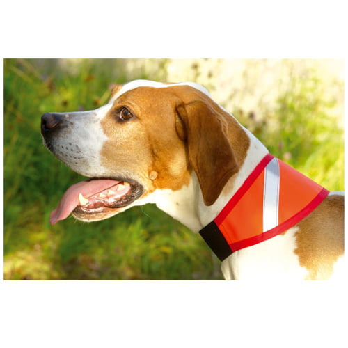 Jægerens Markeringshalsbånd med refleks Str 1-5