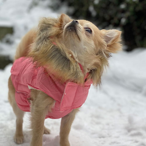 Boblejakke Rosa - Avtakbar hette