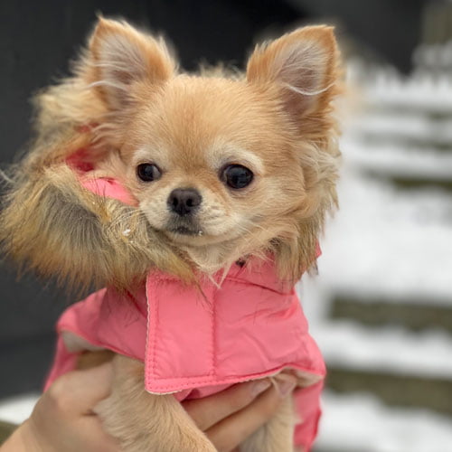 Boblejakke Rosa - Avtakbar hette