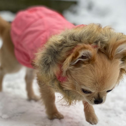 Boblejakke Rosa - Avtakbar hette