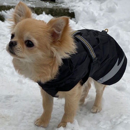 Vinterdekken - Hurtta Summit Parka