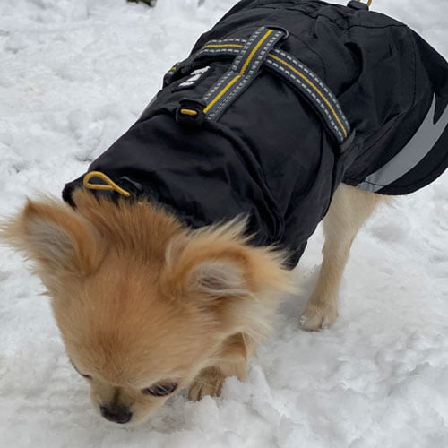 Vinterdekken - Hurtta Summit Parka