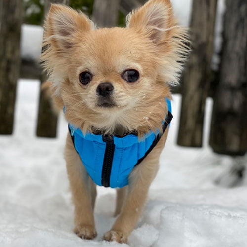 Airy Vest vendbart hundedekken Rosa/Lilla