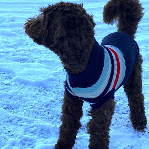 Strikket Trøye Marineblå - Striper