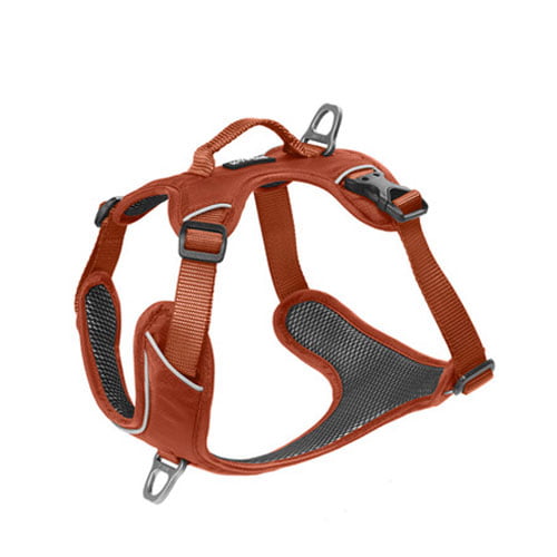 KYFLIE Momentum hundesele