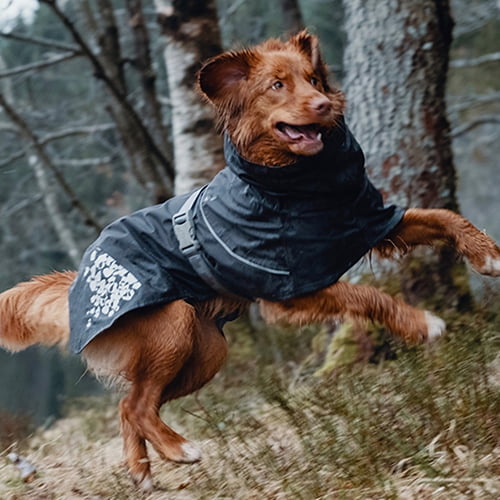 Hurtta regndekken til hund – Monsoon Blackberry