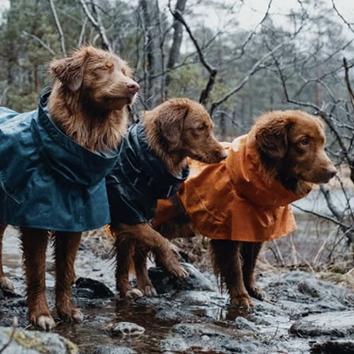 Hurtta regndekken til hund – Monsoon Blackberry