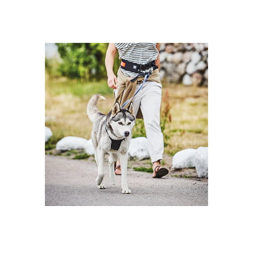 Multisele til hund fra Kennel Equip – rosa/cerise