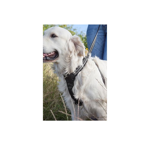 Multisele til hund fra Kennel Equip – svart/grå