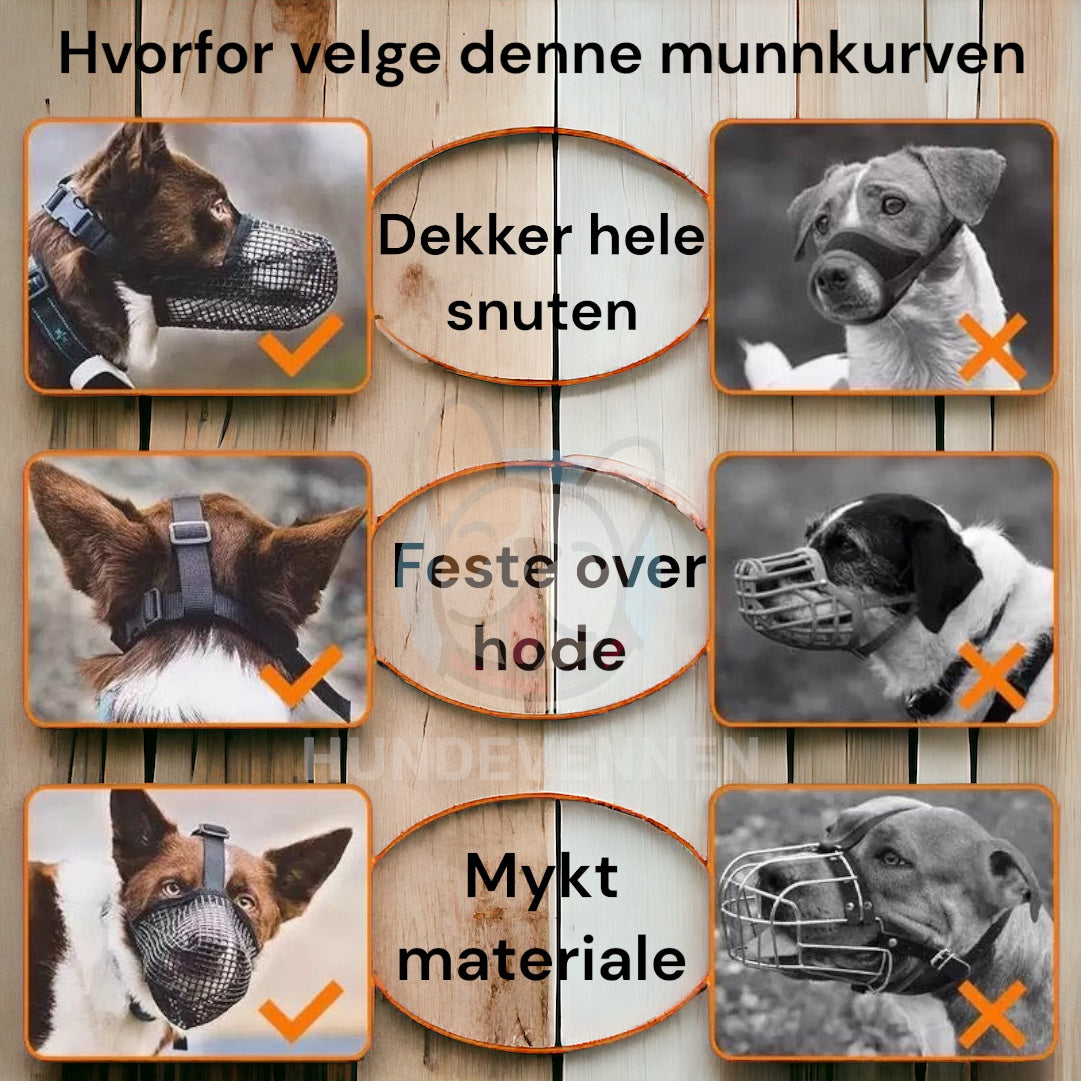 Munnkurv på hund – riktig passform