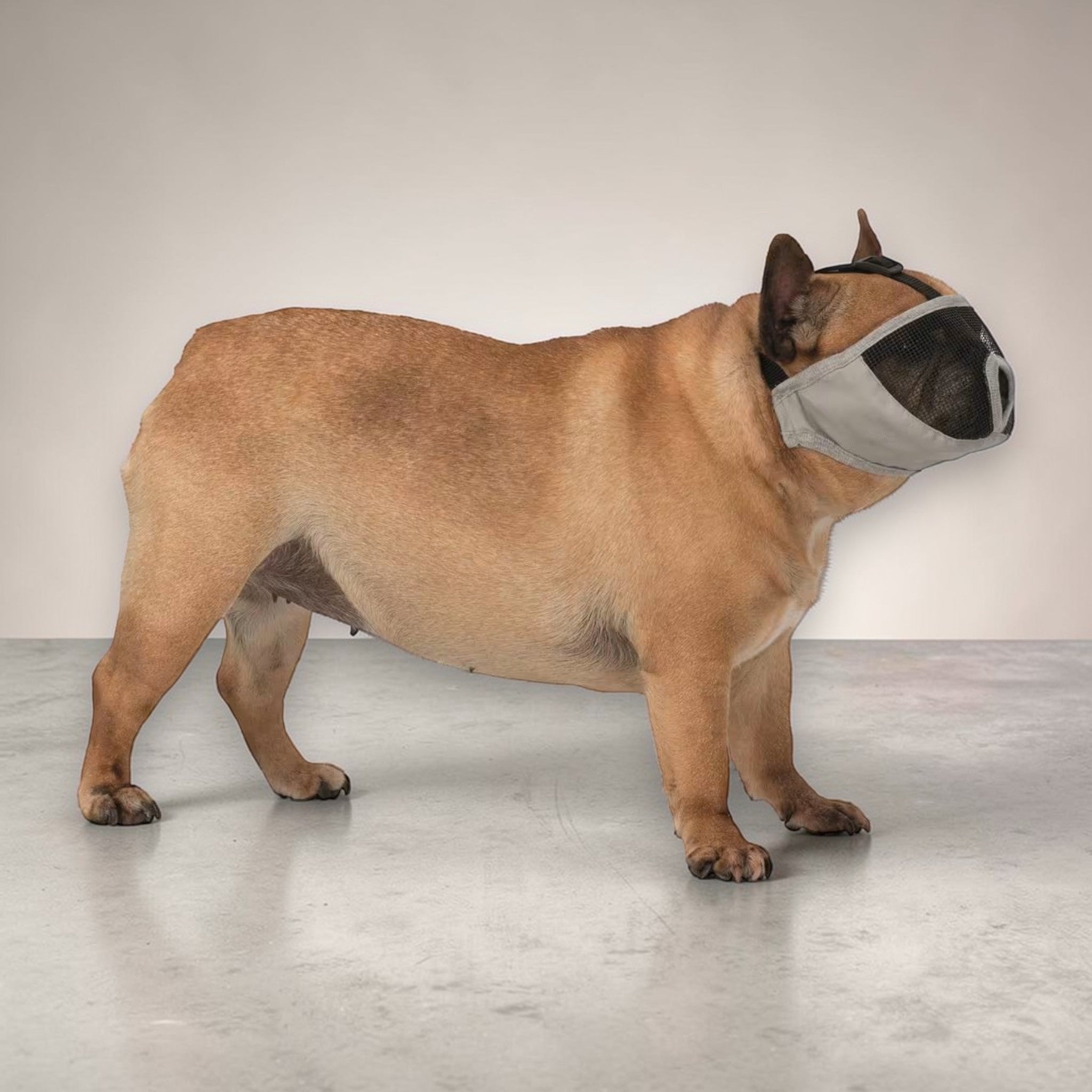 Trixie munnkurv til hund med kort snute – grå justerbar modell