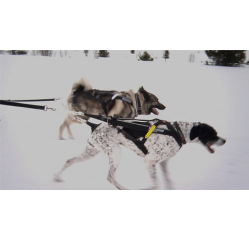 Non-stop Freemotion trekksele