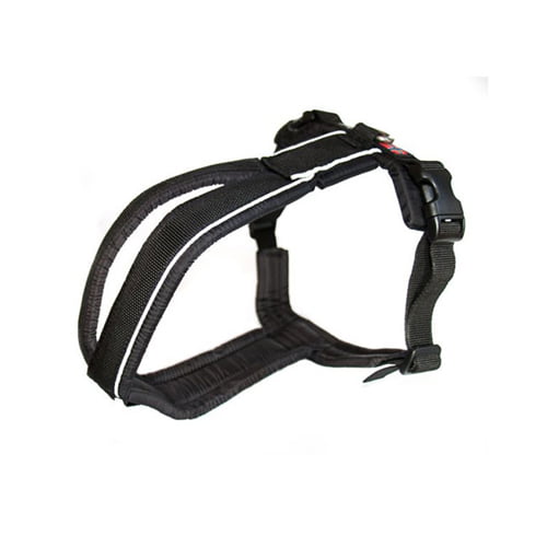 Non-Stop Universal/Sporsele