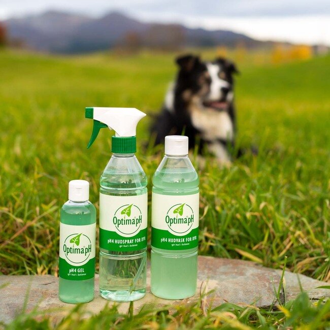 En hund ligger i gresset på et jorde. Foran på en stein står tre optima ph produkter.